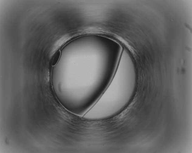 X0000091651461200708231000