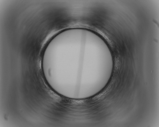 X0000091651462200708231000