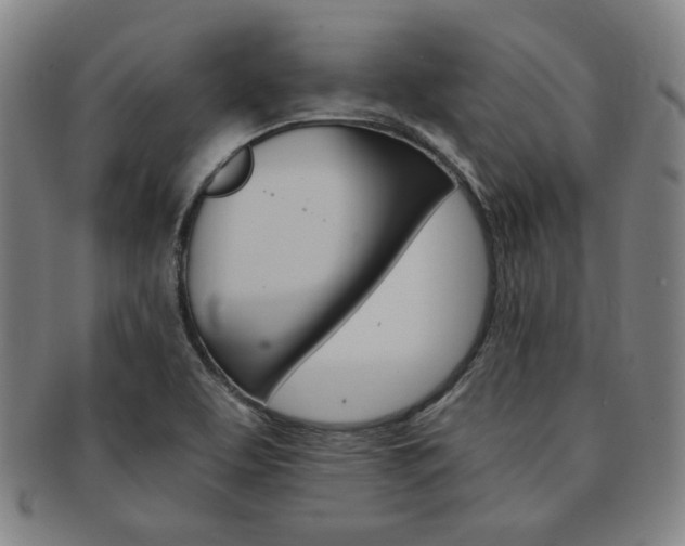 X0000091651463200708231000