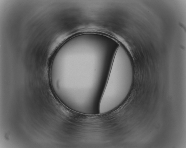 X0000091651464200708231000