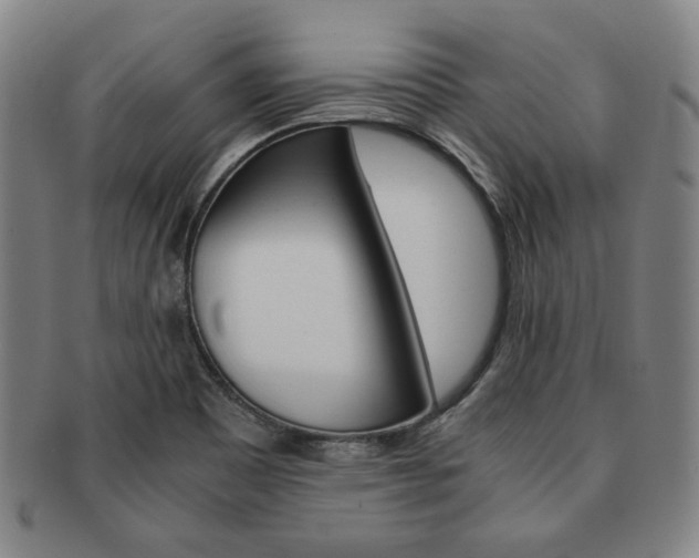 X0000091651465200708230959