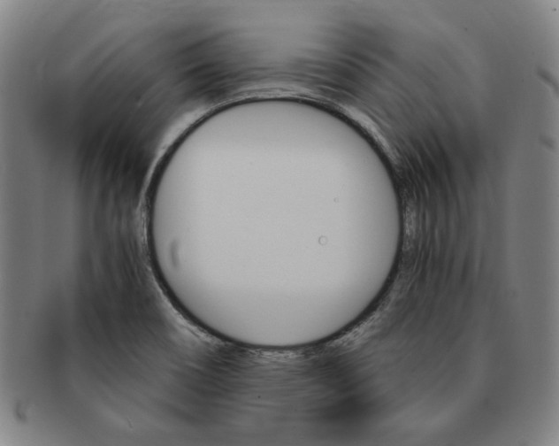 X0000091651466200708230959