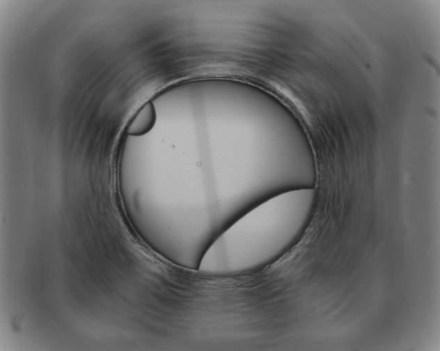 X0000091651467200708230959