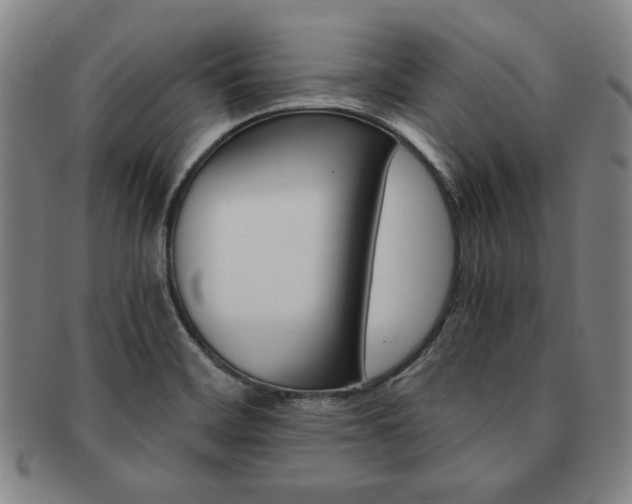 X0000091651468200708230959