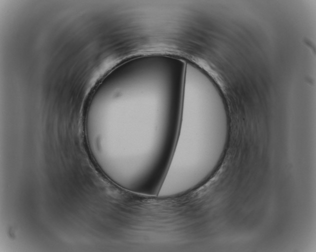 X0000091651469200708230959