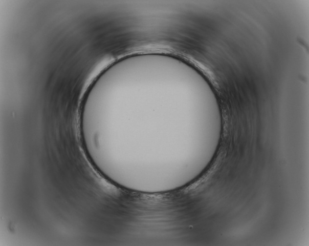 X0000091651470200708230959