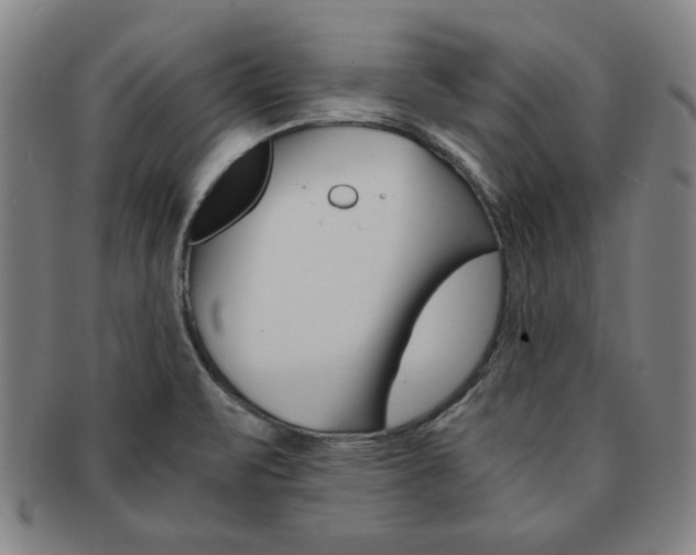 X0000091651471200708230959