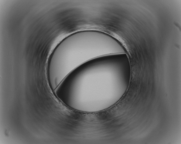 X0000091651472200708230959