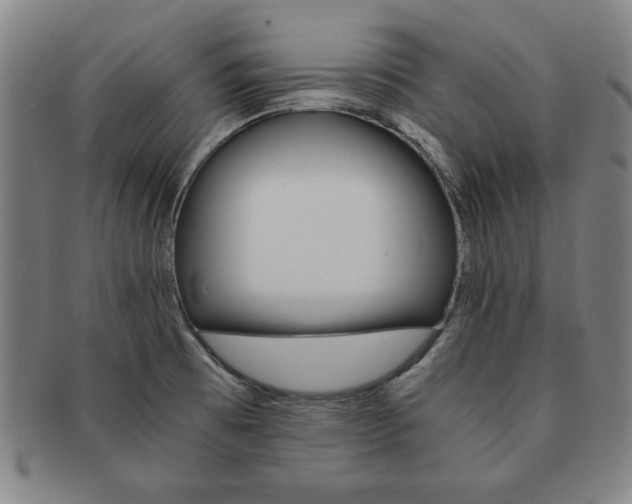 X0000091651473200708230959