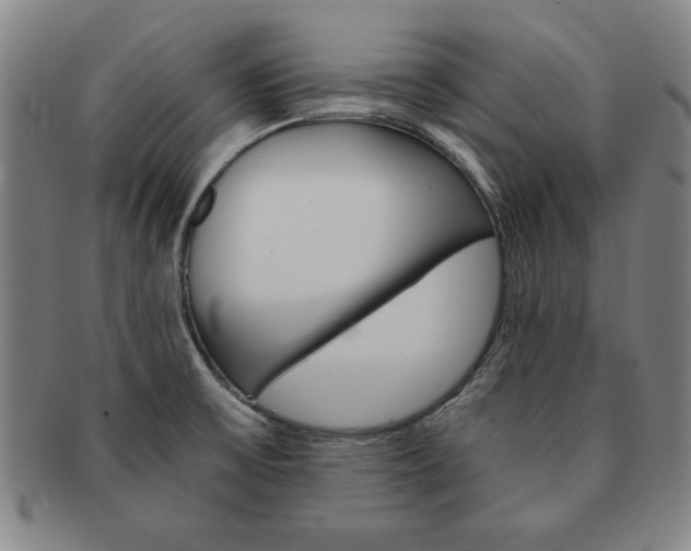 X0000091651475200708230959