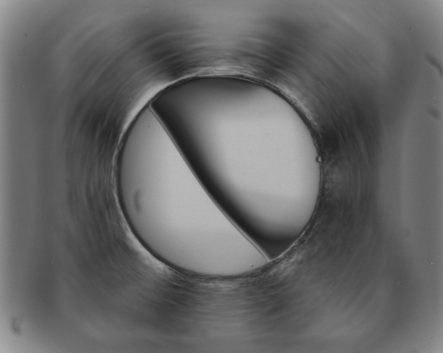 X0000091651476200708230959