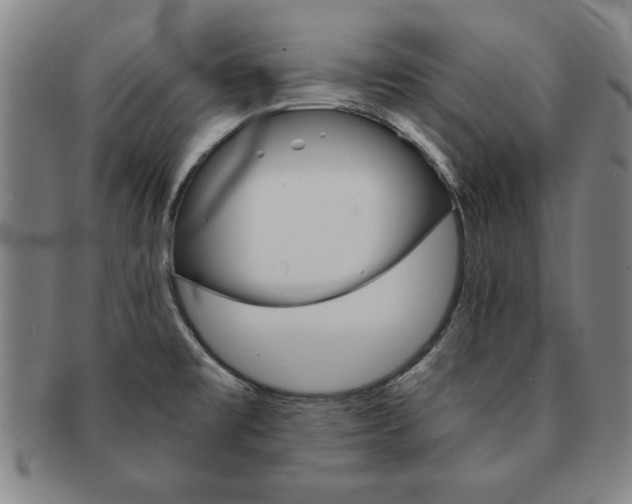 X0000091651477200708230959