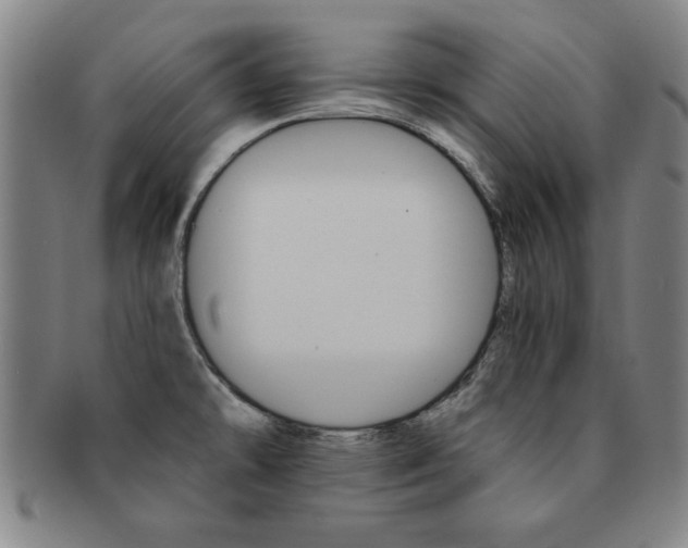 X0000091651478200708230959