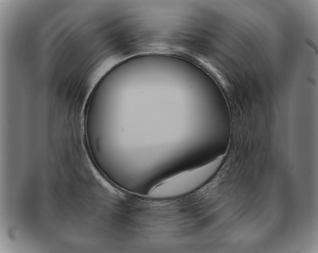 X0000091651479200708230959