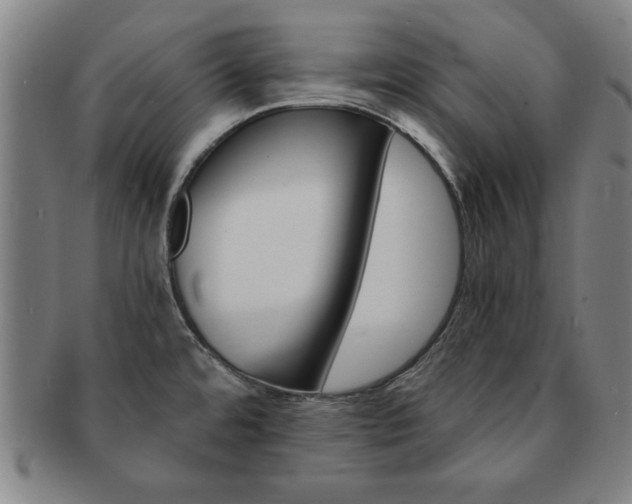 X0000091651480200708230959