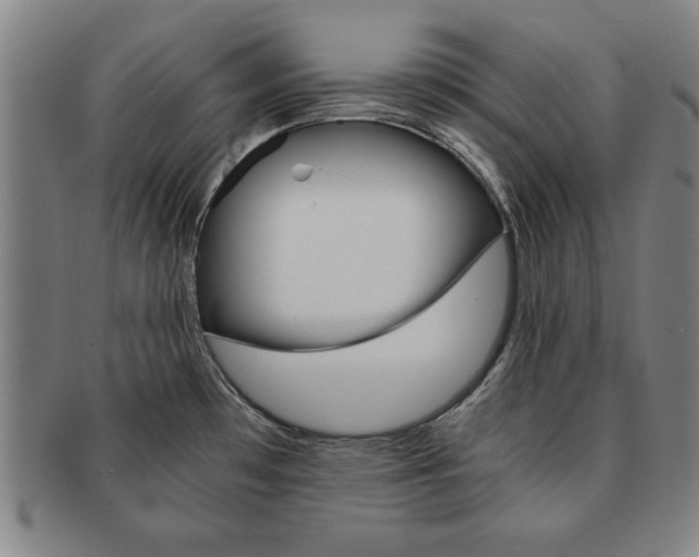 X0000091651481200708230959