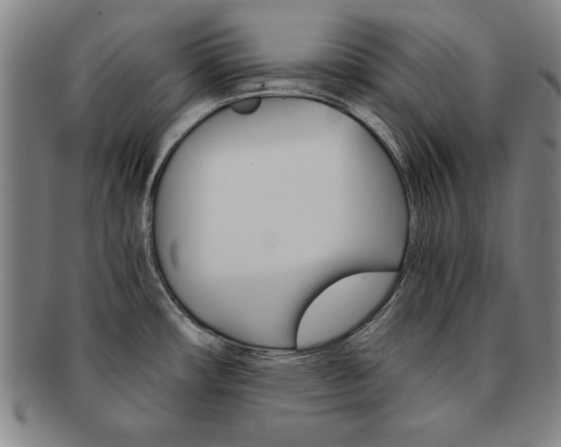 X0000091651482200708230959