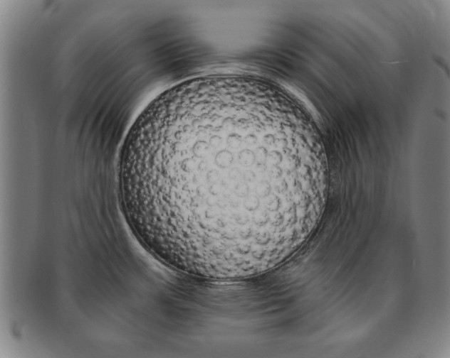 X0000091651483200708230959