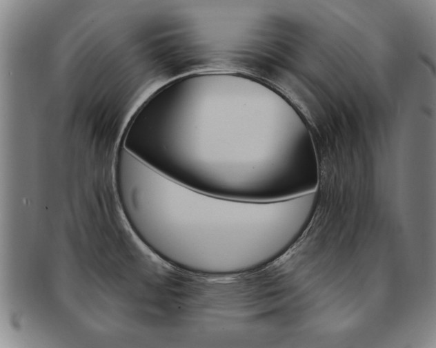 X0000091651484200708230959