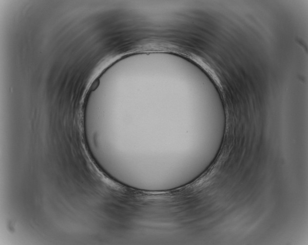 X0000091651486200708230959