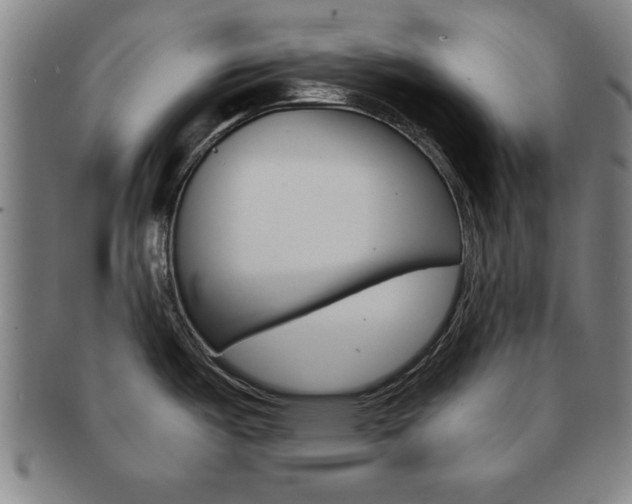 X0000091651487200708230959