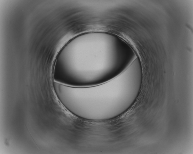 X0000091651488200708230959