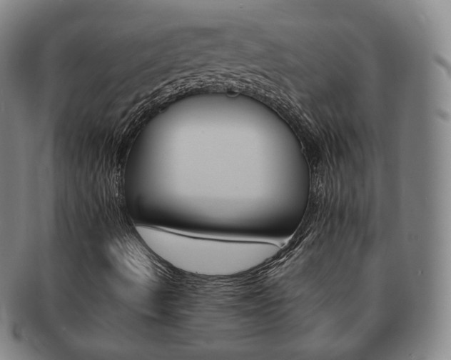 X0000091651490200708230959