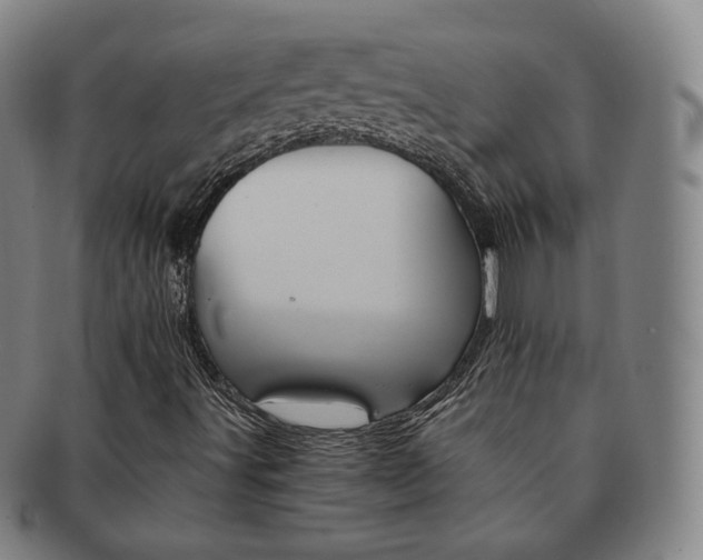 X0000091651491200708230959