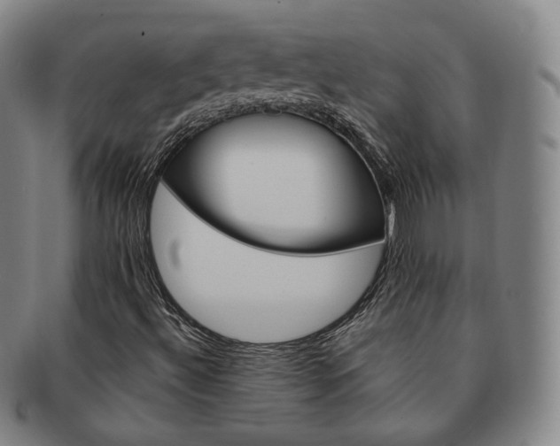 X0000091651492200708230959