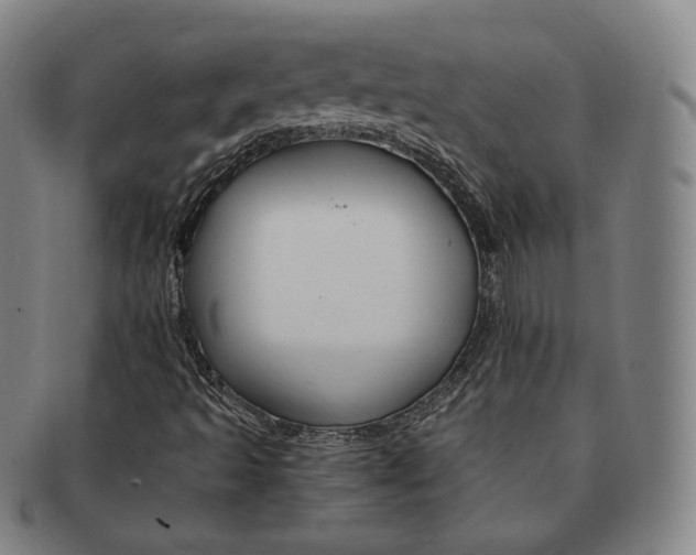X0000091651493200708230959