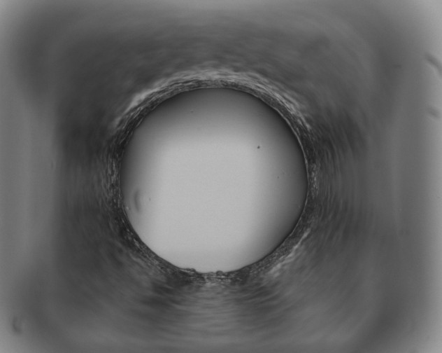 X0000091651494200708230959