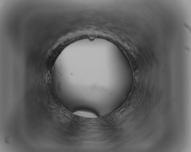 X0000091651495200708230959