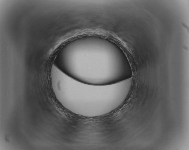 X0000091651496200708230959