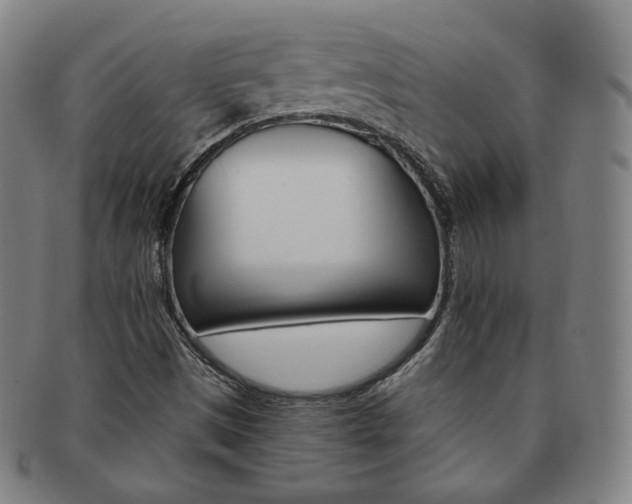 X0000091651497200708230959
