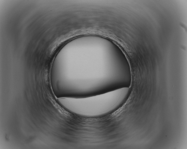 X0000091651499200708230959