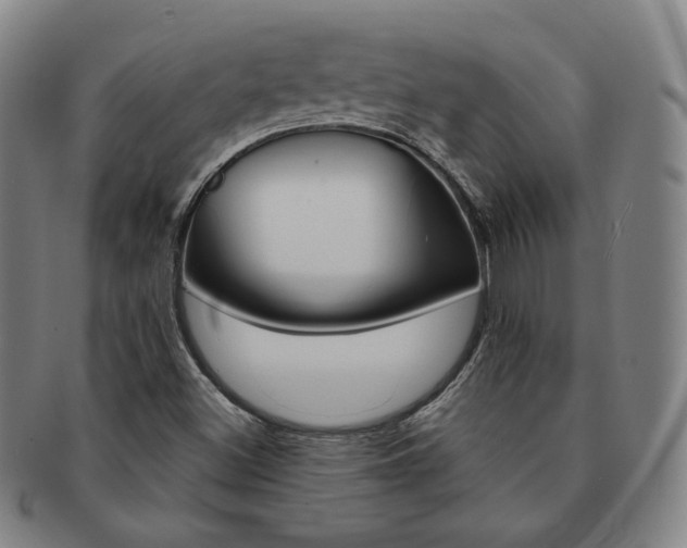 X0000091651500200708230959