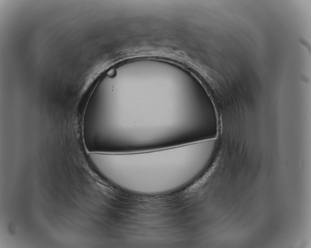 X0000091651501200708230959