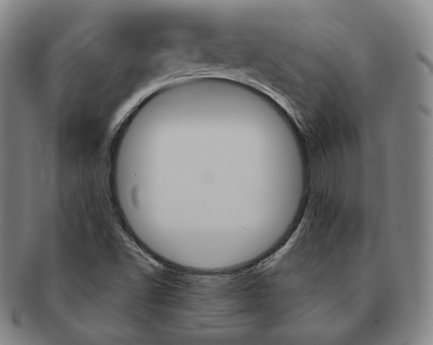 X0000091651502200708230959