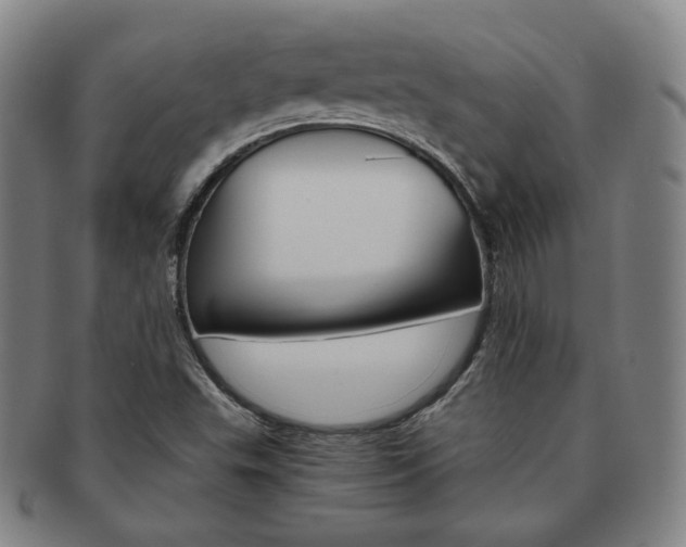 X0000091651503200708230959