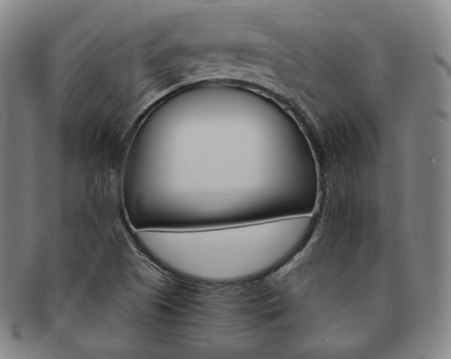 X0000091651505200708230959