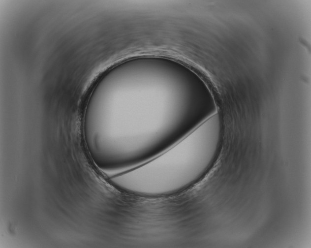 X0000091651506200708230959