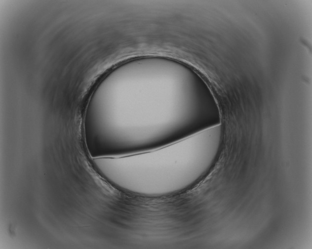X0000091651507200708230959