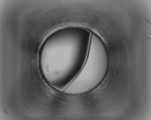 X0000091651508200708230959