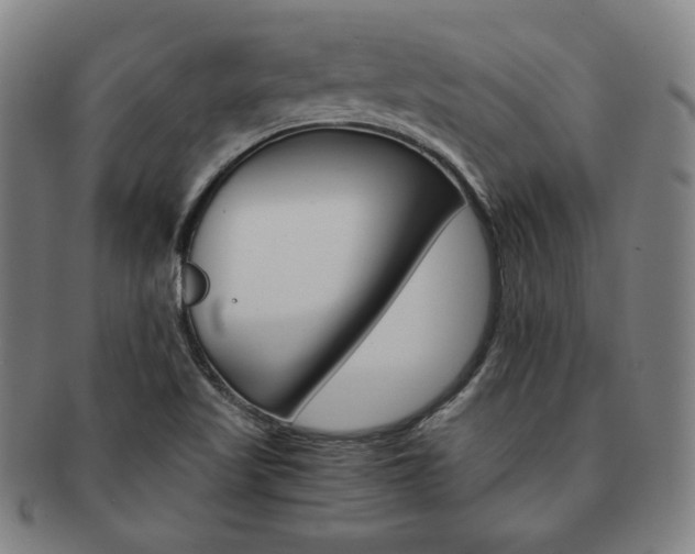 X0000091651509200708230959