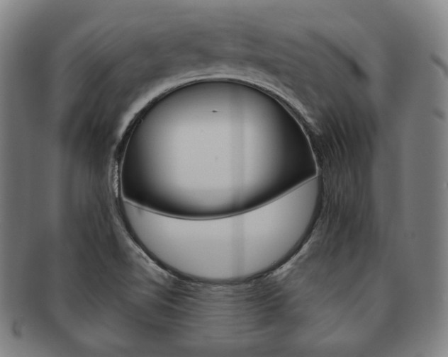 X0000091651510200708230959