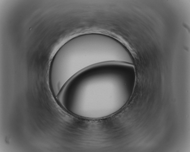 X0000091651512200708230959