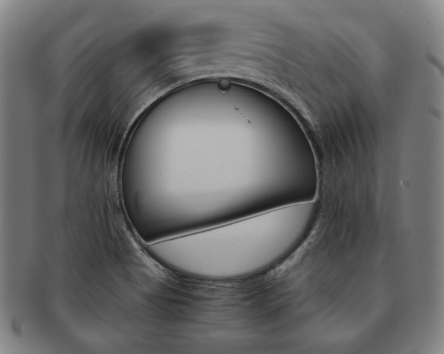 X0000091651513200708230959