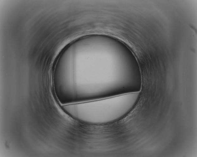 X0000091651515200708230959