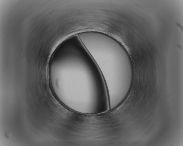 X0000091651516200708230959