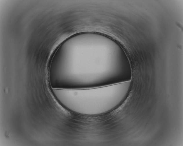 X0000091651517200708230959
